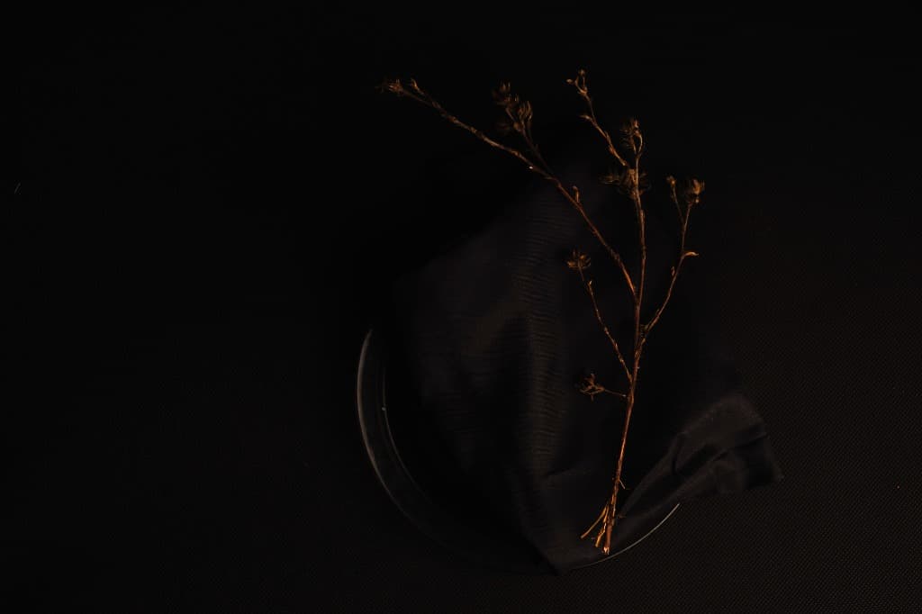 Dark Artistic Still Life